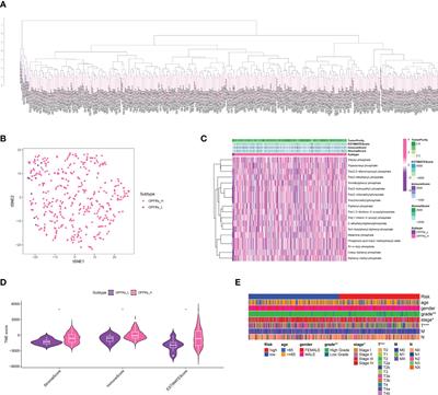 Integrative analysis of triphenyl phosphate: contextual interpretation of bladder cancer cohort